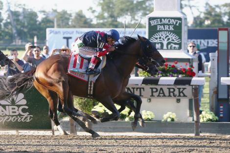 Tonalist won the 146th running of the Belmont Stakes, denying California Chrome the Triple Crown. (AP Photo)